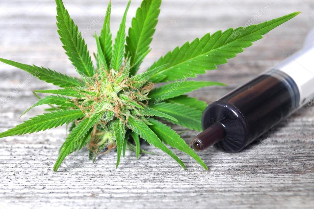 DEFESA DE DISSERTAÇÃO: “O Paciente dedo verde: uma etnografia sobre o consumo e o cultivo de canábis para fins terapêuticos no Rio de Janeiro”