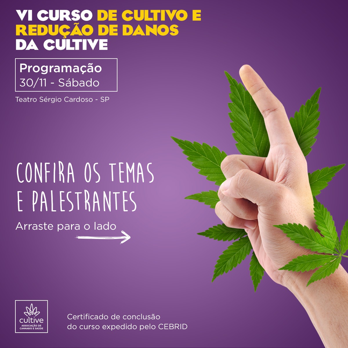 VI Curso de Cultivo e Redução de Danos da Cultive.