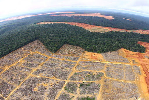 Agronegócios, desmatamentos e povos tradicionais no Baixo Amazonas