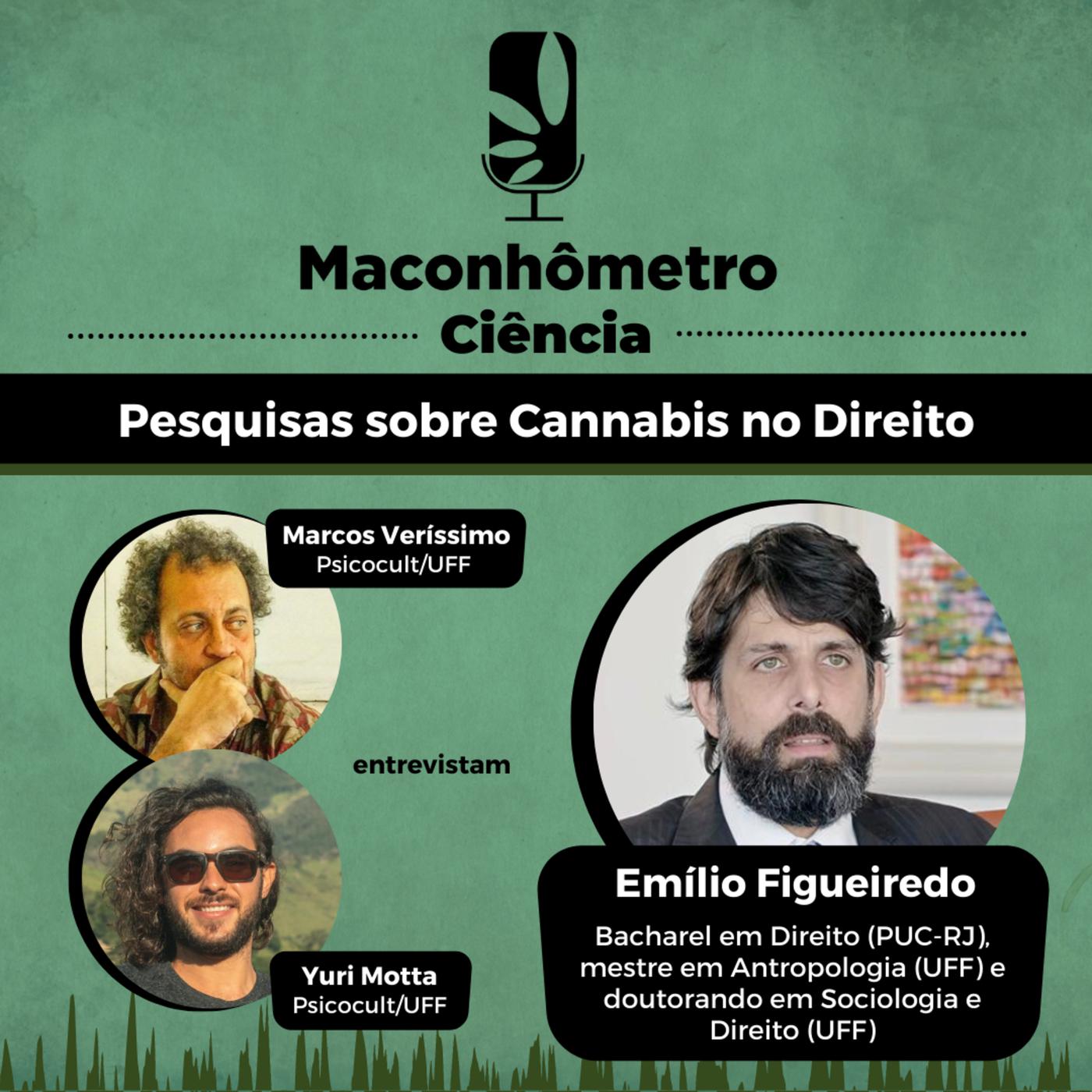 MACONHÔMETRO – Pesquisas sobre Maconha no Direito