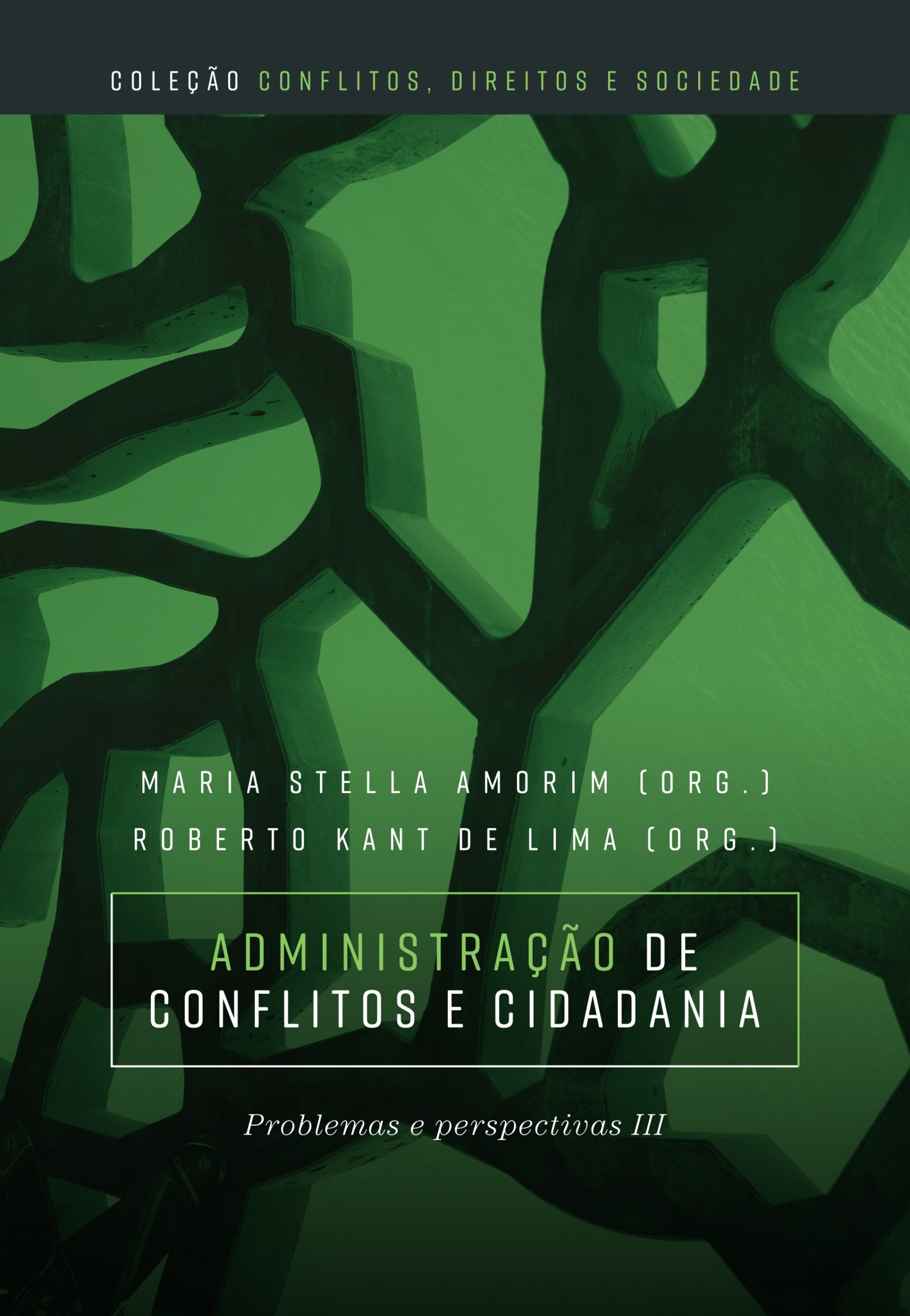 Administração de conflitos e cidadania: problemas e perspectivas III