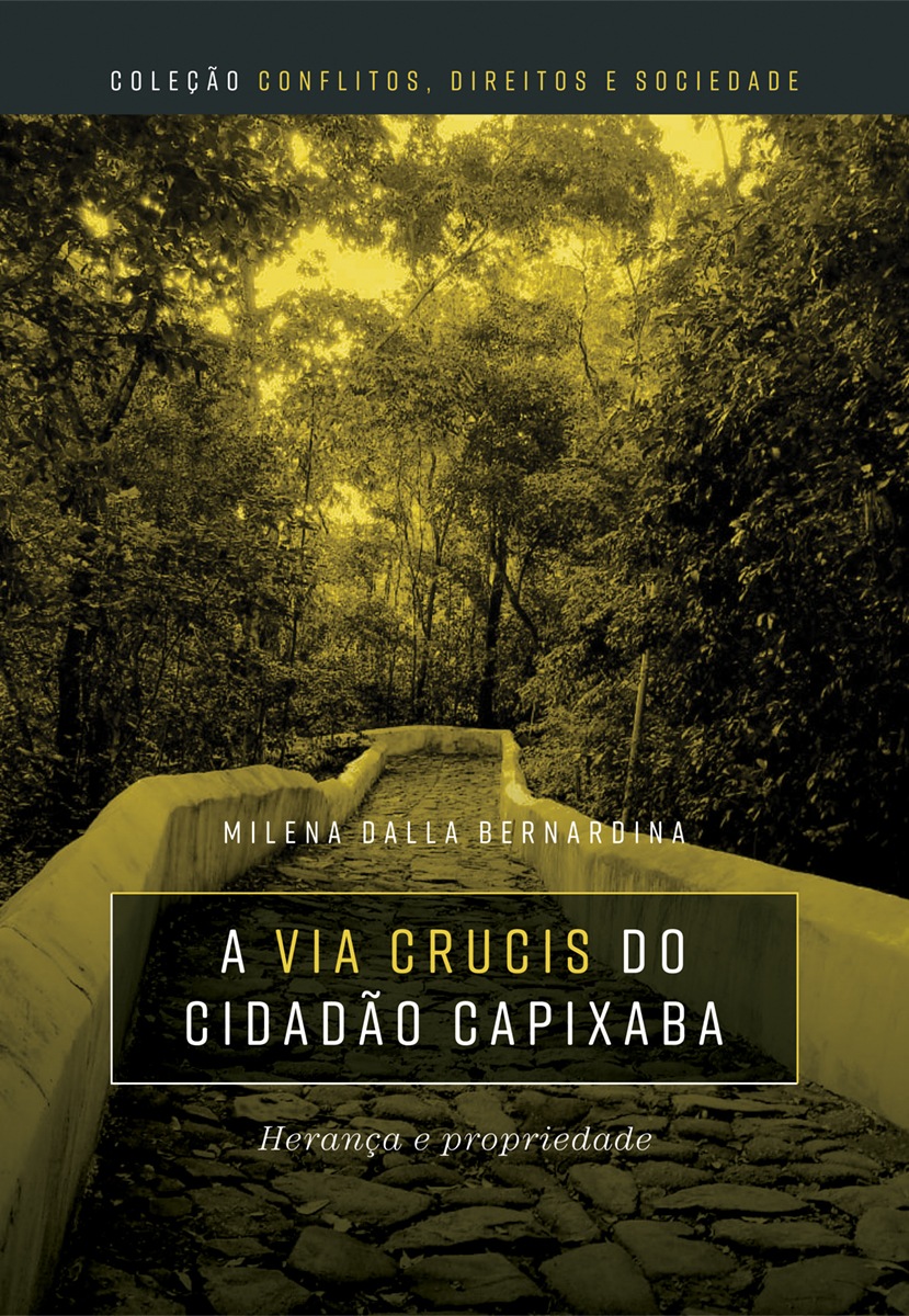 A via crucis do cidadão capixaba: herança e propriedade
