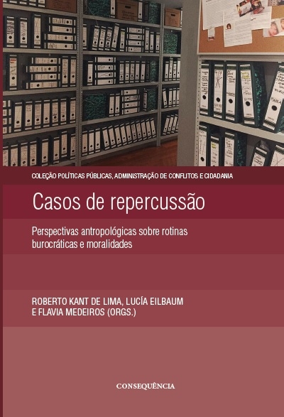 Casos de Repercussão: perspectivas antropológicas sobre rotinas burocráticas e moralidades